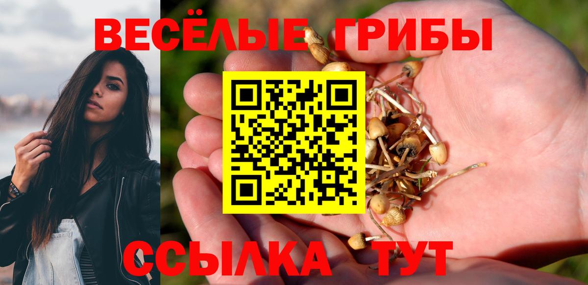 Псилоцибиновые грибы Psilocybine cubensis  Галлюциногенные грибы Cubensis  где купить   Вход с VPN  Старый Оскол 